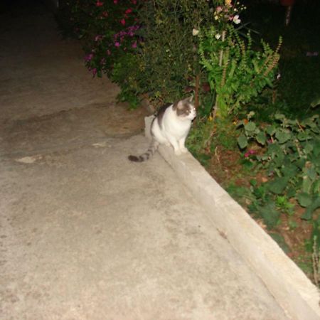 Filip 2 Hotel Biograd Na Moru Exterior photo